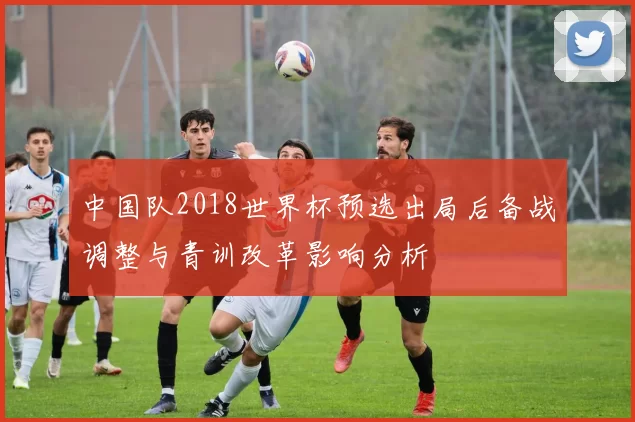 中国队2018世界杯预选出局后备战调整与青训改革影响分析