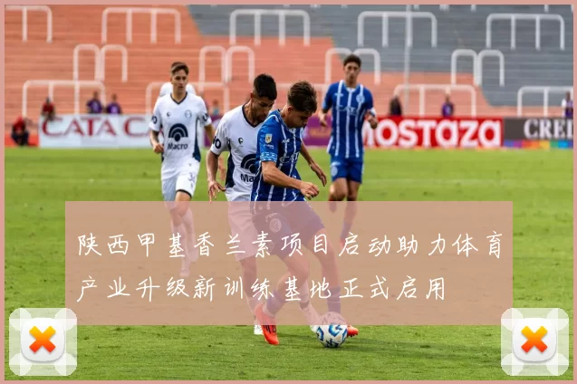 陕西甲基香兰素项目启动助力体育产业升级新训练基地正式启用