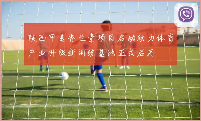 陕西甲基香兰素项目启动助力体育产业升级新训练基地正式启用